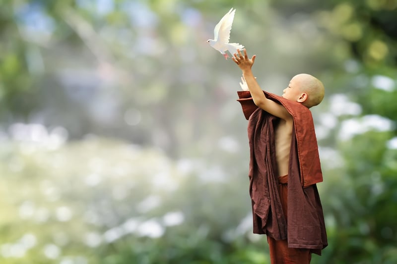 Loving Kindness Meditation